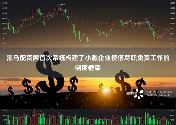 黑马配资网首次系统构建了小微企业授信尽职免责工作的制度框架
