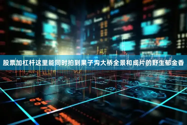 股票加杠杆这里能同时拍到果子沟大桥全景和成片的野生郁金香