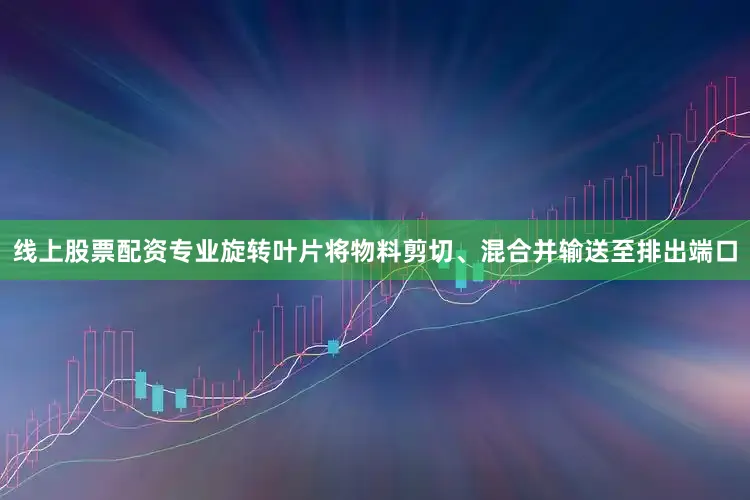 线上股票配资专业旋转叶片将物料剪切、混合并输送至排出端口